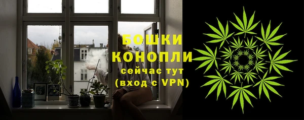 хмурый Верея