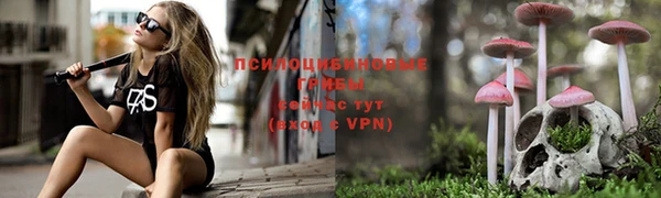 МДМА Волоколамск