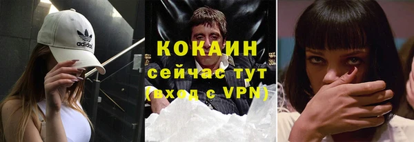 хмурый Верея