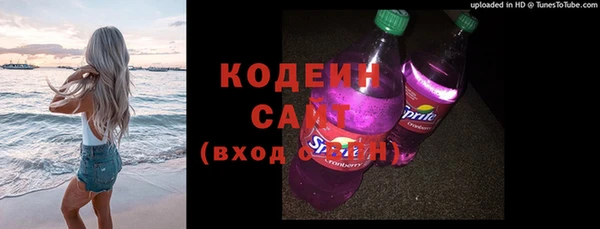 хмурый Верея