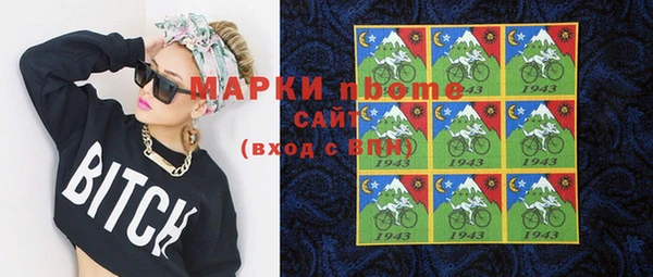 хмурый Верея