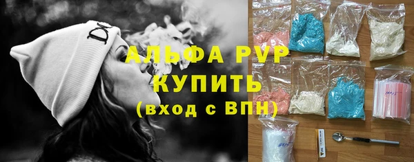хмурый Верея