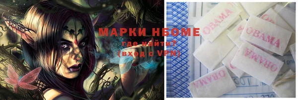 хмурый Верея